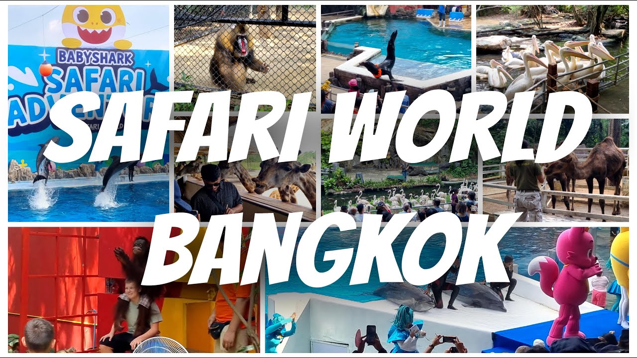 Safari World Bangkok | 4K | Thailand diaries