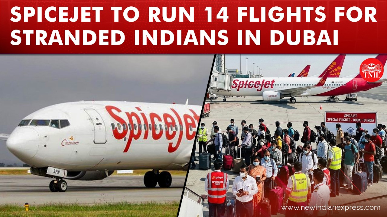 SpiceJet to run 14 UAE-India flights for stranded passengers; IndiGo extends free cancellations