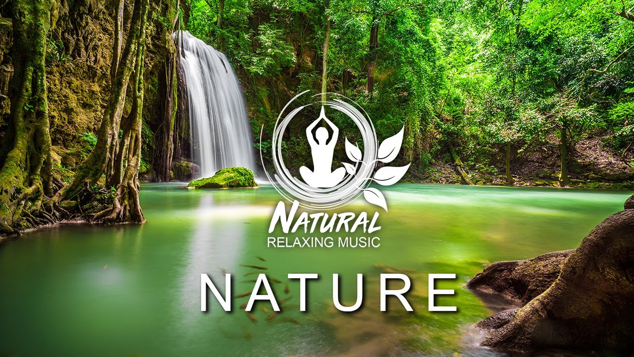 RELAXING PIANO Music, BEAUTIFUL NATURE videos, 