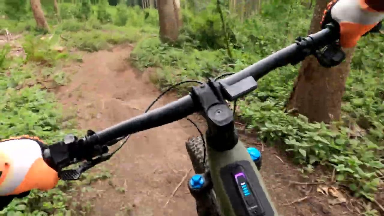 Hansetrail Lemgo
