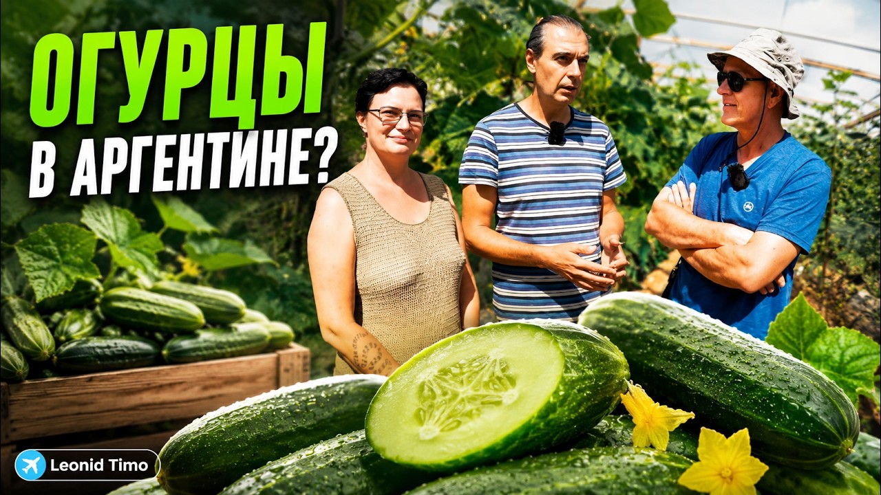 ПЕРЕЕЗД В АРГЕНТИНУ 🌎 Стоит ли оно того? ОТКРОВЕННЫЙ РАЗГОВОР!
