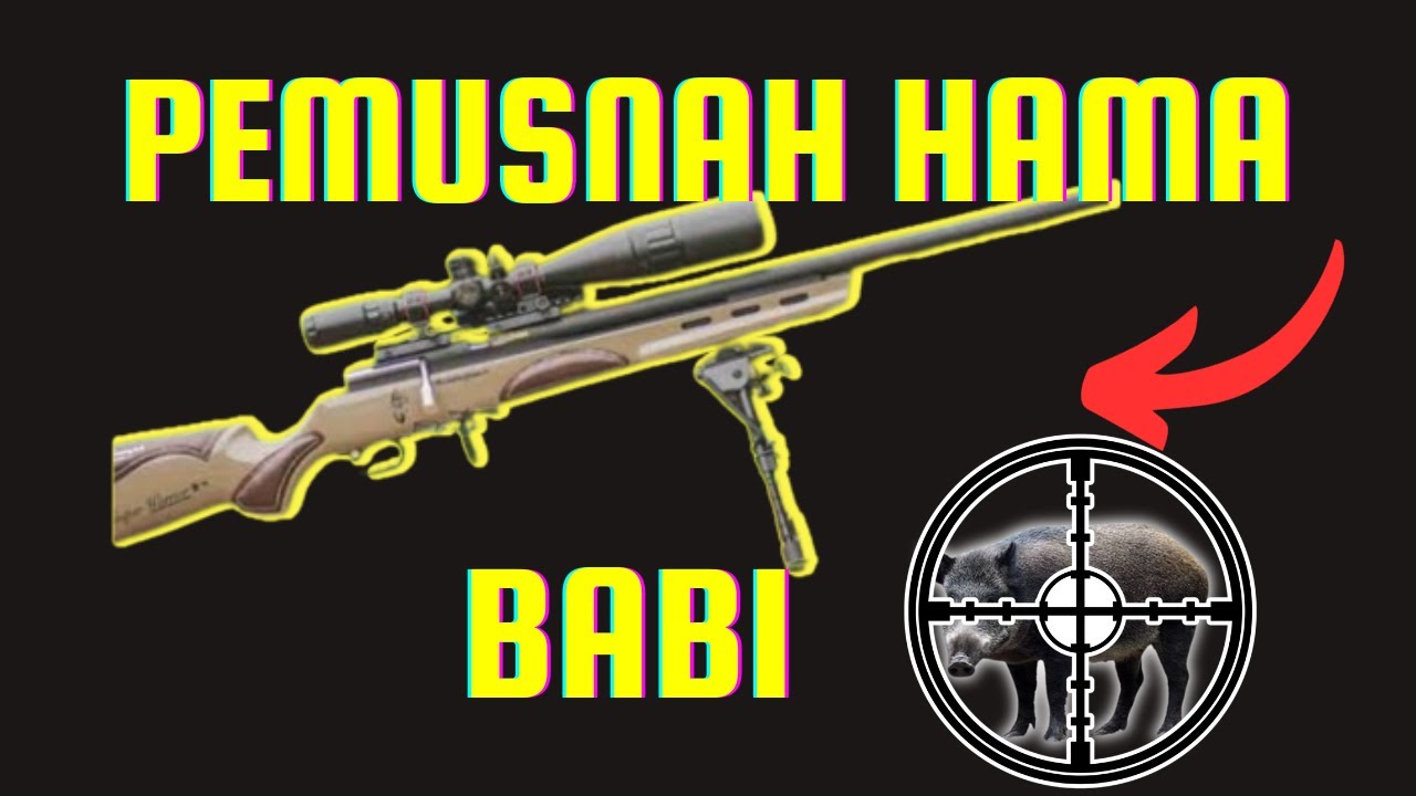 5 pcp untuk berburu hama babi terbaik