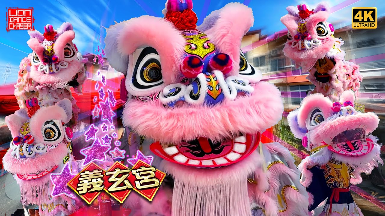 Lion Dance | Pink Cute Lions | 义玄宫 | Serdang | 粉红萌狮 开张贺庆 双狮地青 民间传统 舞狮採青 鼓乐伴奏