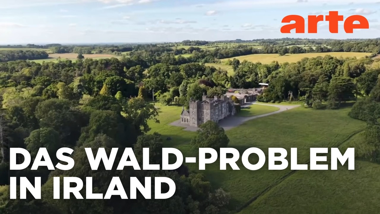 Wo sind Irlands W&auml;lder hin? | Reportage | ARTE Info