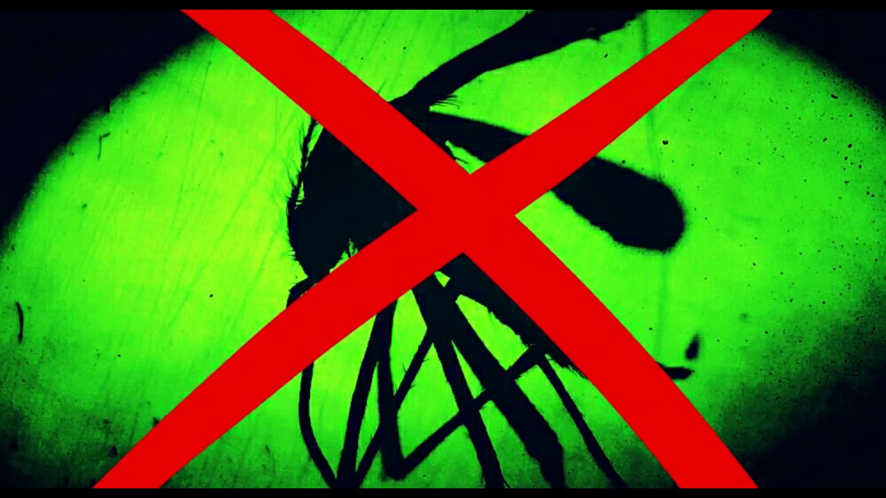 🦟 Sonido AHUYENTA  MOSQUITOS  🦟 para exteriores  🦟 FUNCIONA