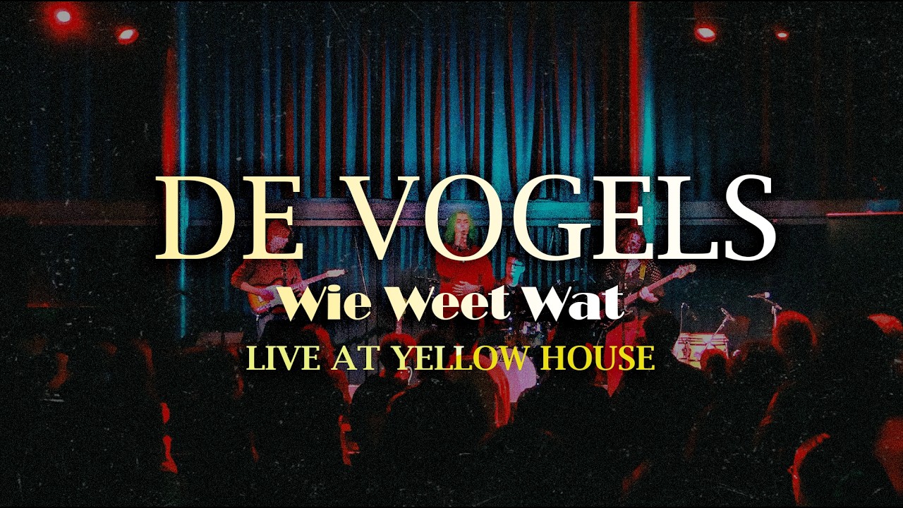 De Vogels | Wie Weet Wat - Live at Yellow House