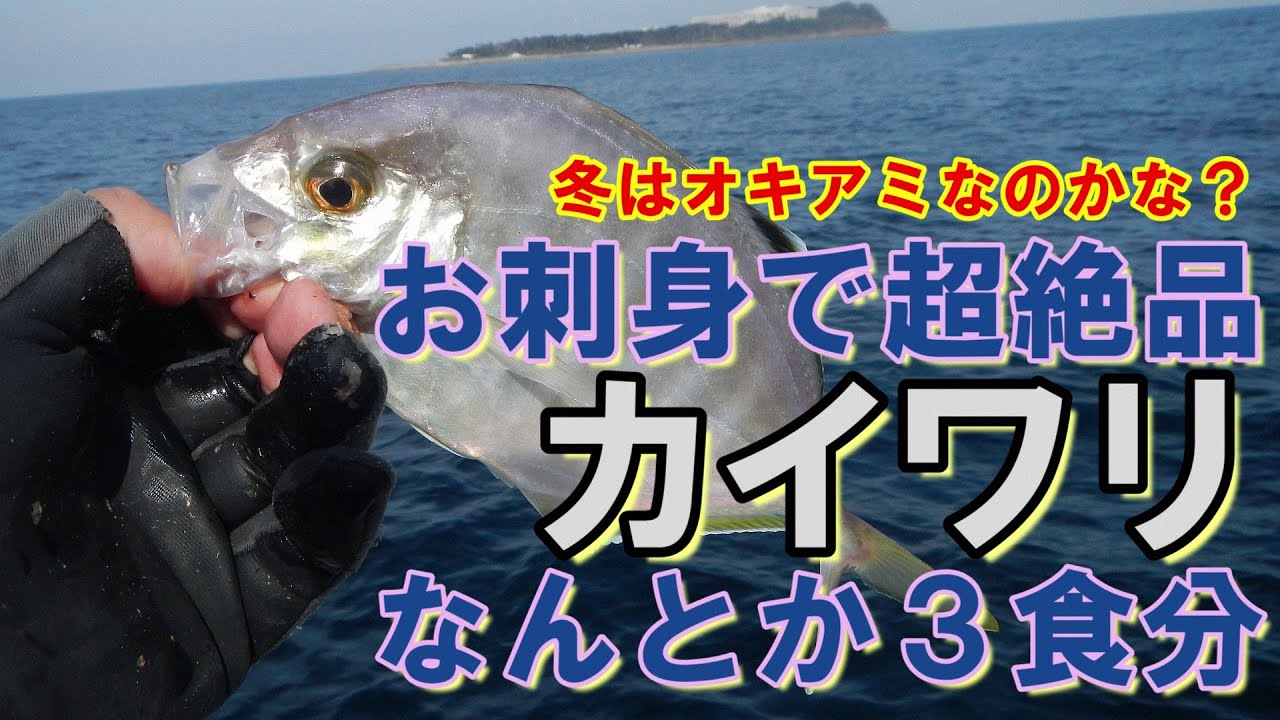 ウィリーもカブラも無視かよ!!　冬カイワリはオキアミに偏食…スローなシャクリで本命5匹～夏はカブラで冬はオキアミなのかな？～（2023.3.4 宇佐美・治久丸 午後カイワリ）
