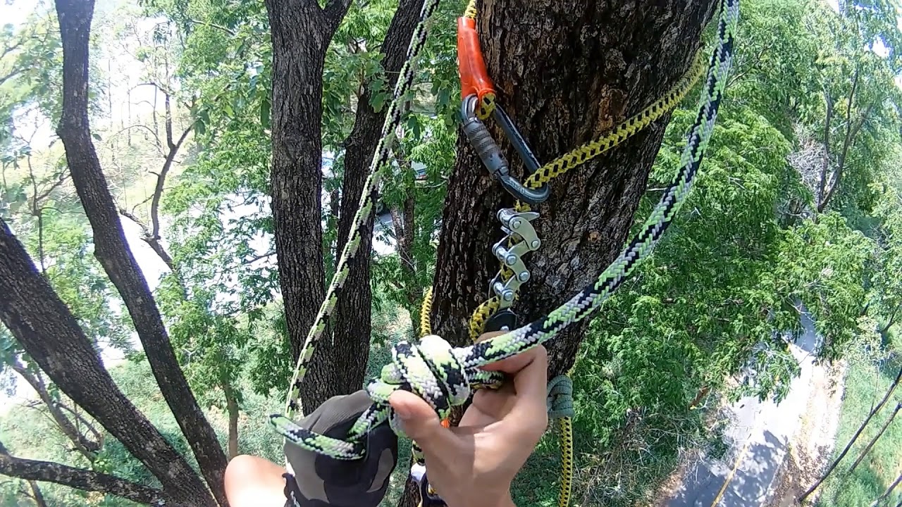 โรยตัวด้วยเงื่อนปลอดไว (Quick release anchor rappelling)