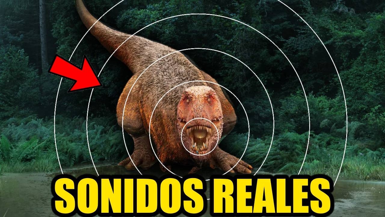 COMO SONABAN LOS DINOSAURIOS? (SONIDOS REALES)