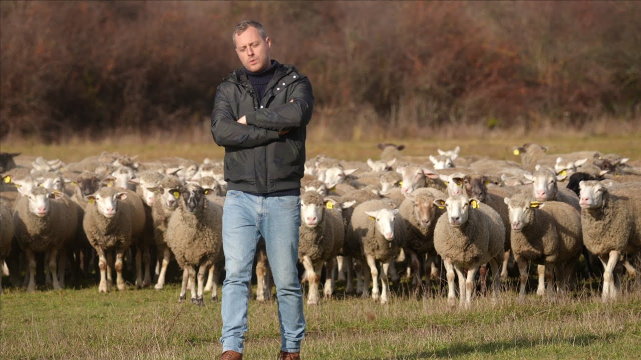 B&aacute;r&aacute;nyteny&eacute;szt&eacute;s luxuskivitelben | Főmen&uuml; mini