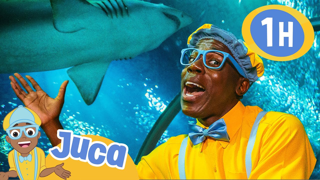 Juca Encontra Tubar&otilde;es no Aqu&aacute;rio! | 1 HORA DO JUCA BRASIL! | V&iacute;deos Educativos para Crian&ccedil;as