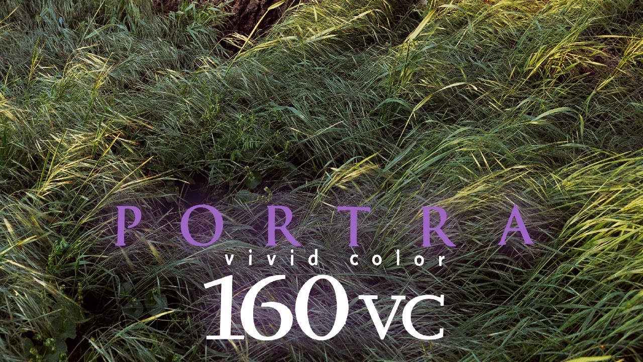 Putting Expired Kodak Portra 160VC to the Test | Pentax 67