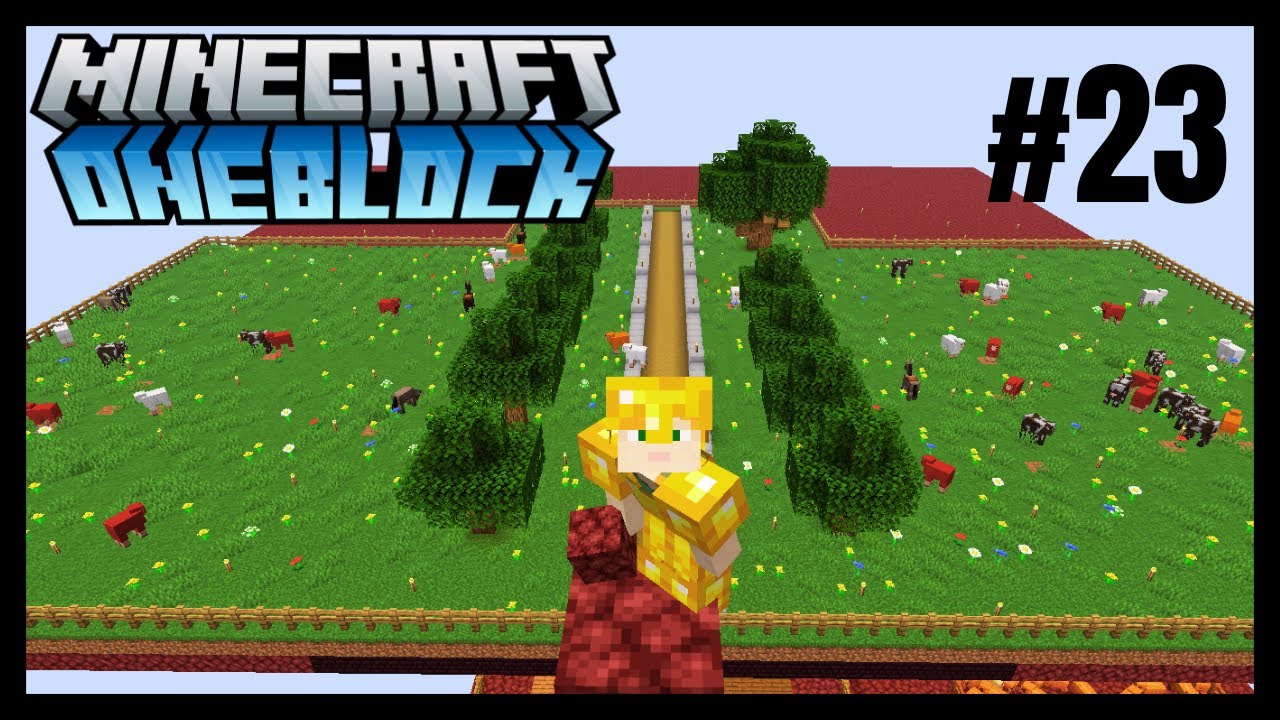 Minecraft One Block [#23] - Mała polana