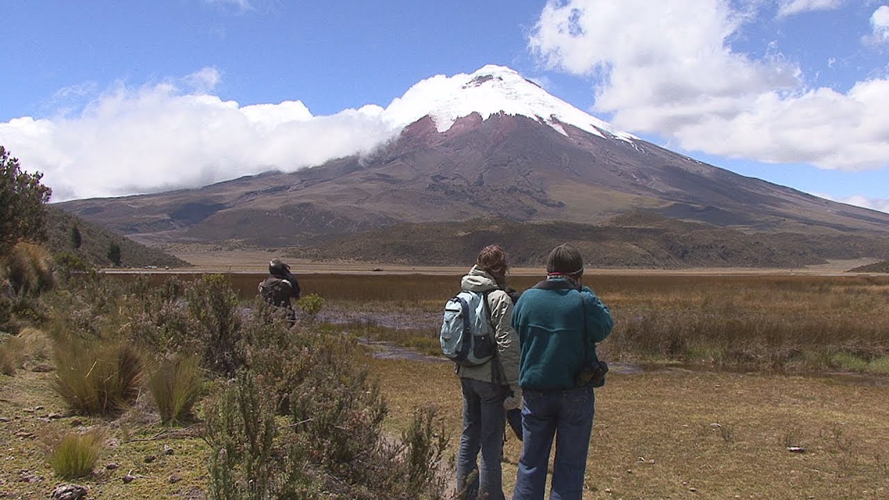 Ecuador Birds and Orchids Mindo and Cotopaxi volcano