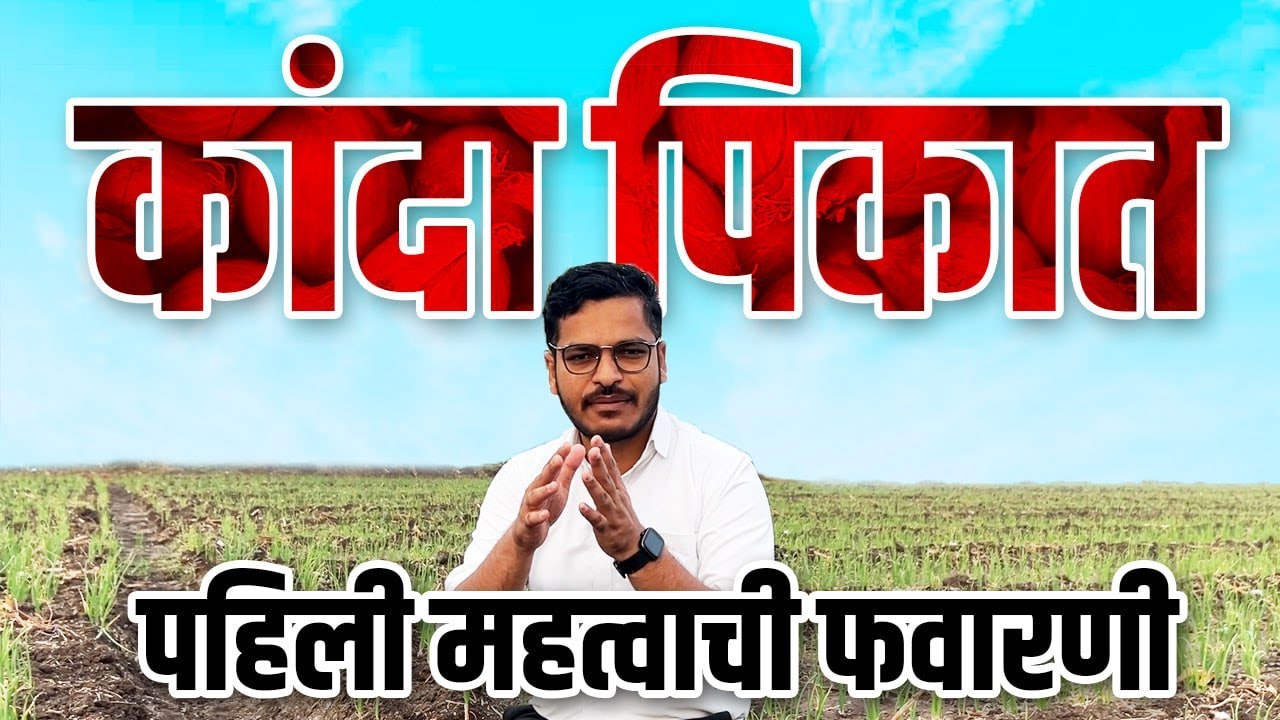 कांदा पिकात पहिली महत्वाची फवारणी kanda pikat pahili mahatwachi favarani