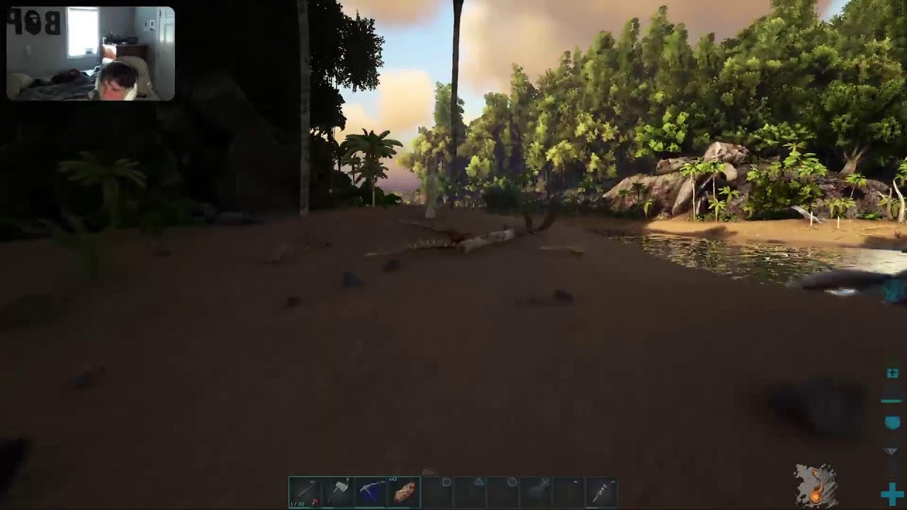 ARK