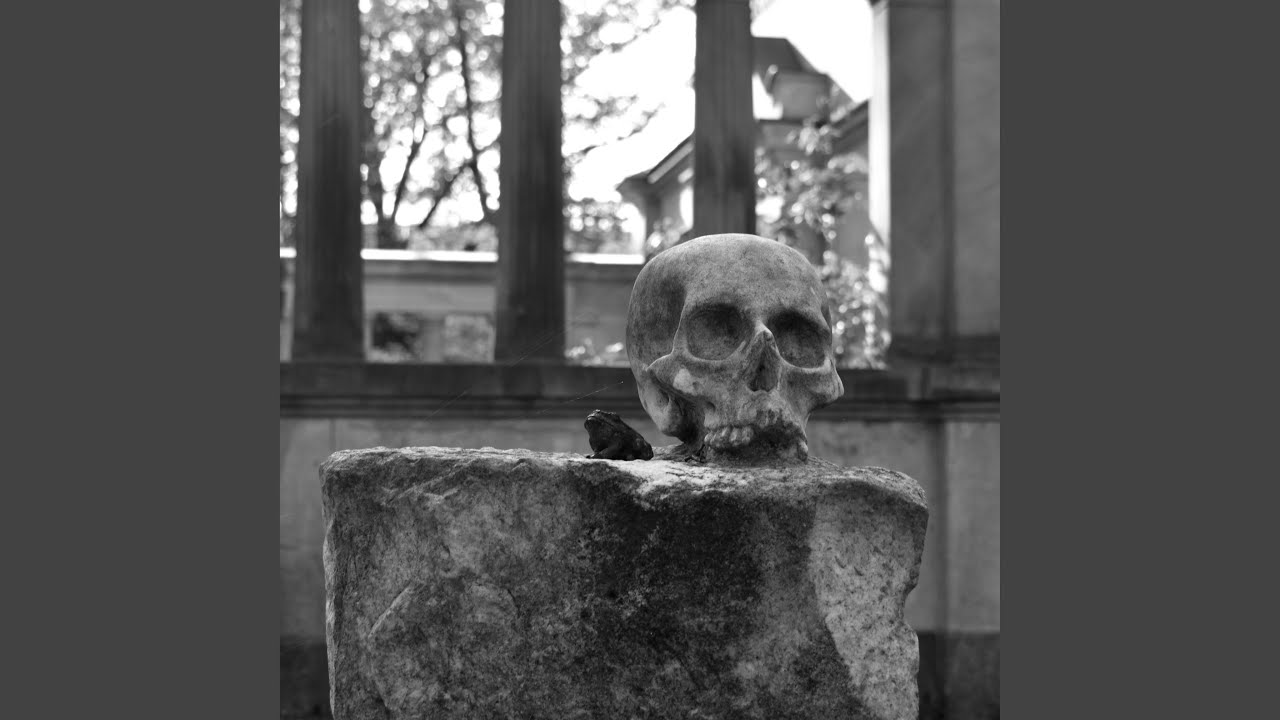 Damnatio Memoriae