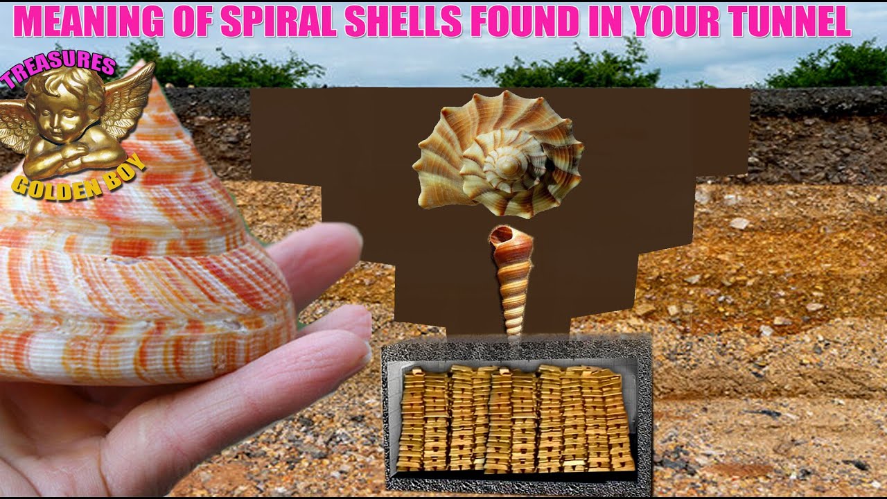 SECRET MEANING OF SPIRAL SHELLS IN YAMASHITA TREASURES EXPLAINED.