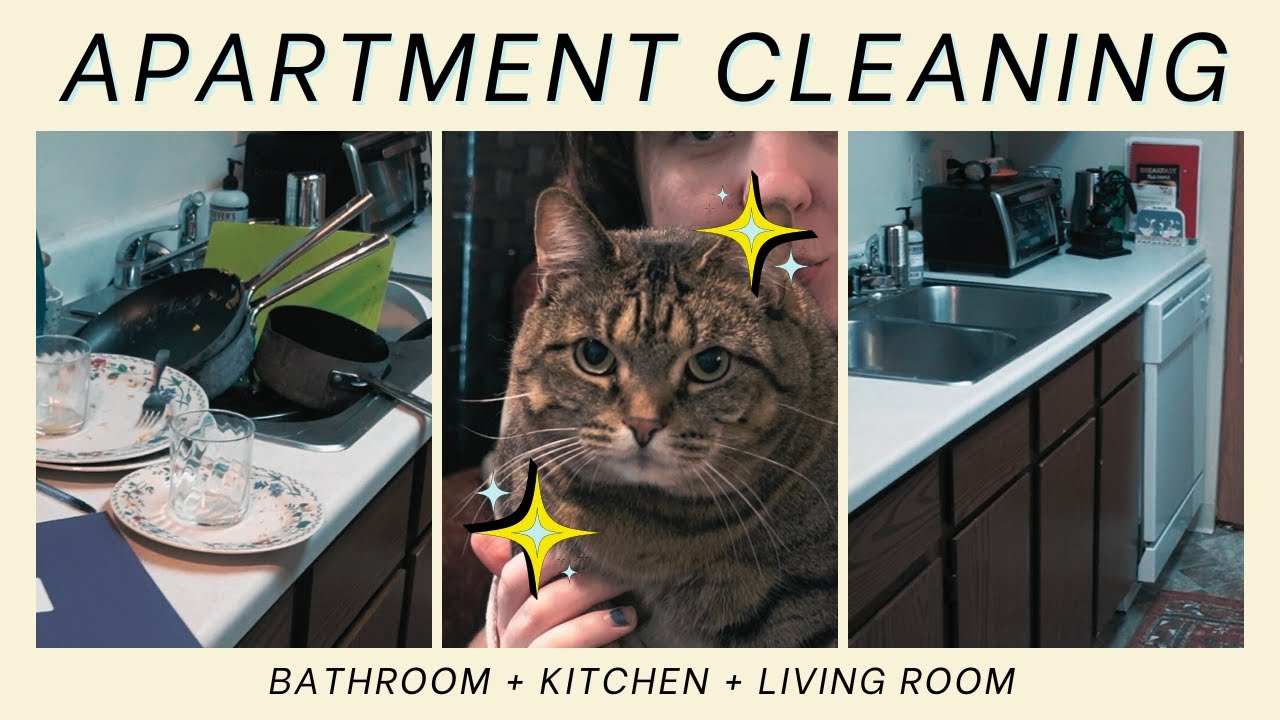 Clean my Apartment with me Step by Step - 1 hour body doubling