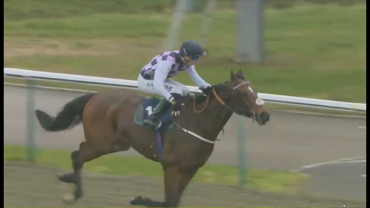 R6 LINGFIELD UK 2026