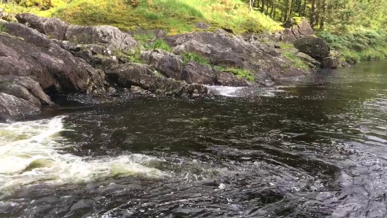 Laksefiske 2019 på Vestlandet