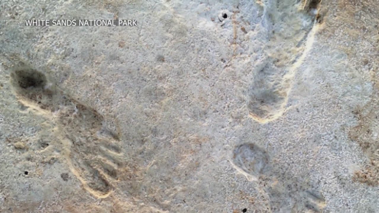 Recent study supports dates of early human footprints at White Sands National Park