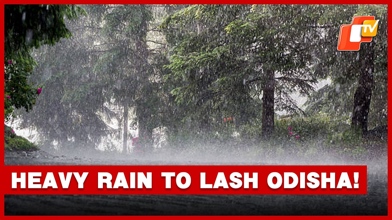 Rain To Lash Odisha Over Next Couple Of Days, Yellow Alert Issued For 19 Districts | OTV