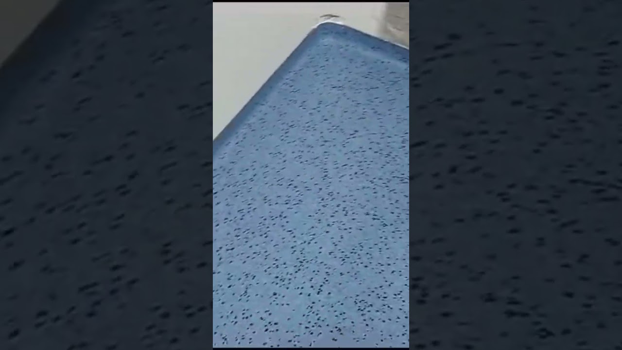 How to fix conductive floor to make modular operation theatre #hospital #staticcontrol