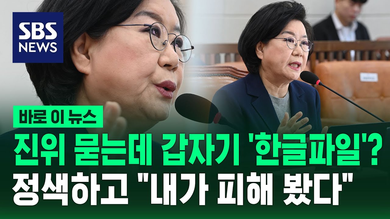 진위 묻는데 갑자기 '한글파일'?…정색하고 