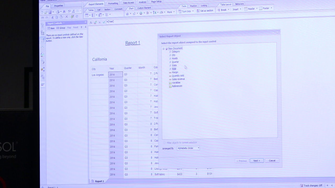 Using Web Intelligence Like a Pro: Input Controls and Shared Elements (Part 1 of 2)