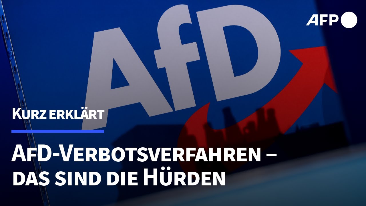 Kurz erkl&auml;rt: AfD-Verbotsverfahren &ndash; das sind die H&uuml;rden | AFP