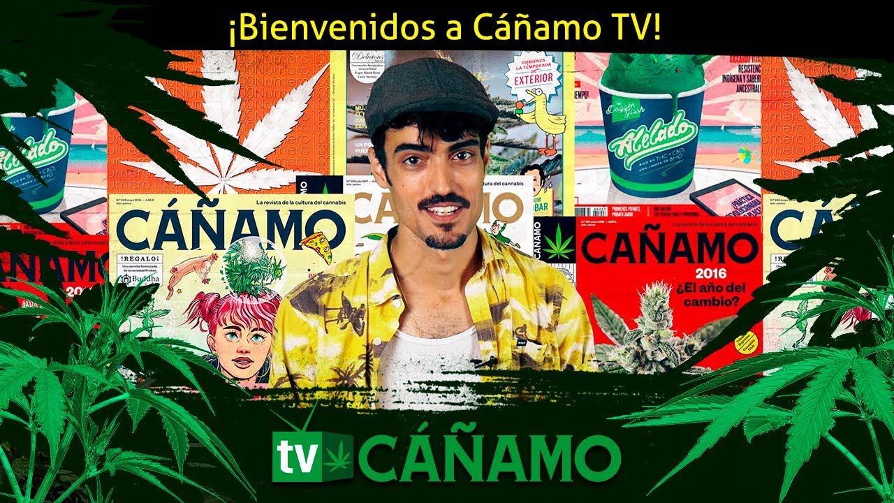 Bienvenidos a C&aacute;&ntilde;amo TV, nuestros primeros seguidores nos saludan