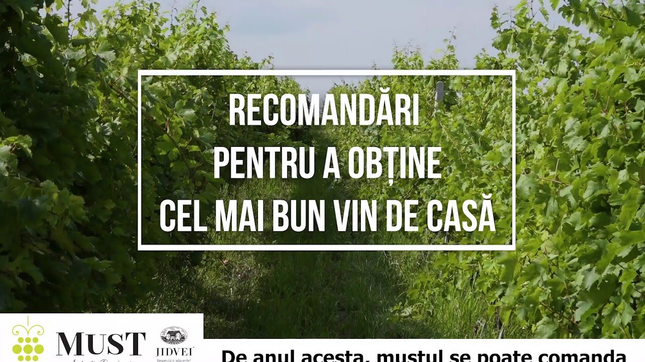 Recomandări pentru obținerea unui vin de calitate din mustul de la Jidvei
