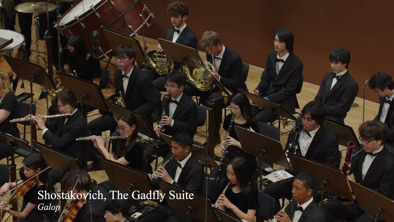 Peninsula Youth Orchestra Performance at Rudolfinum - Dvořák Hall: Summer Tour 2024