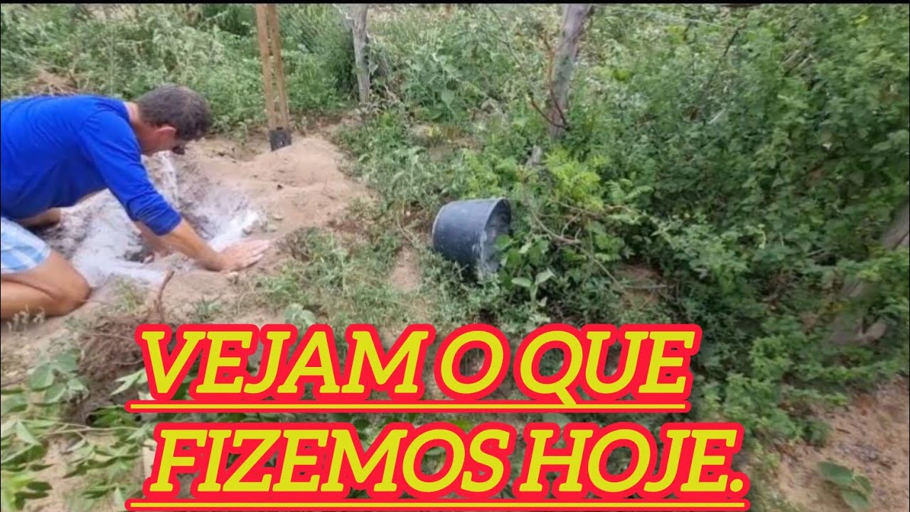 Vejam o que fizemos hoje.