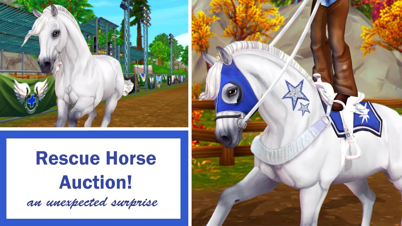 Horse Rescue Auction ~ Buying another Horse?! || SSO RP