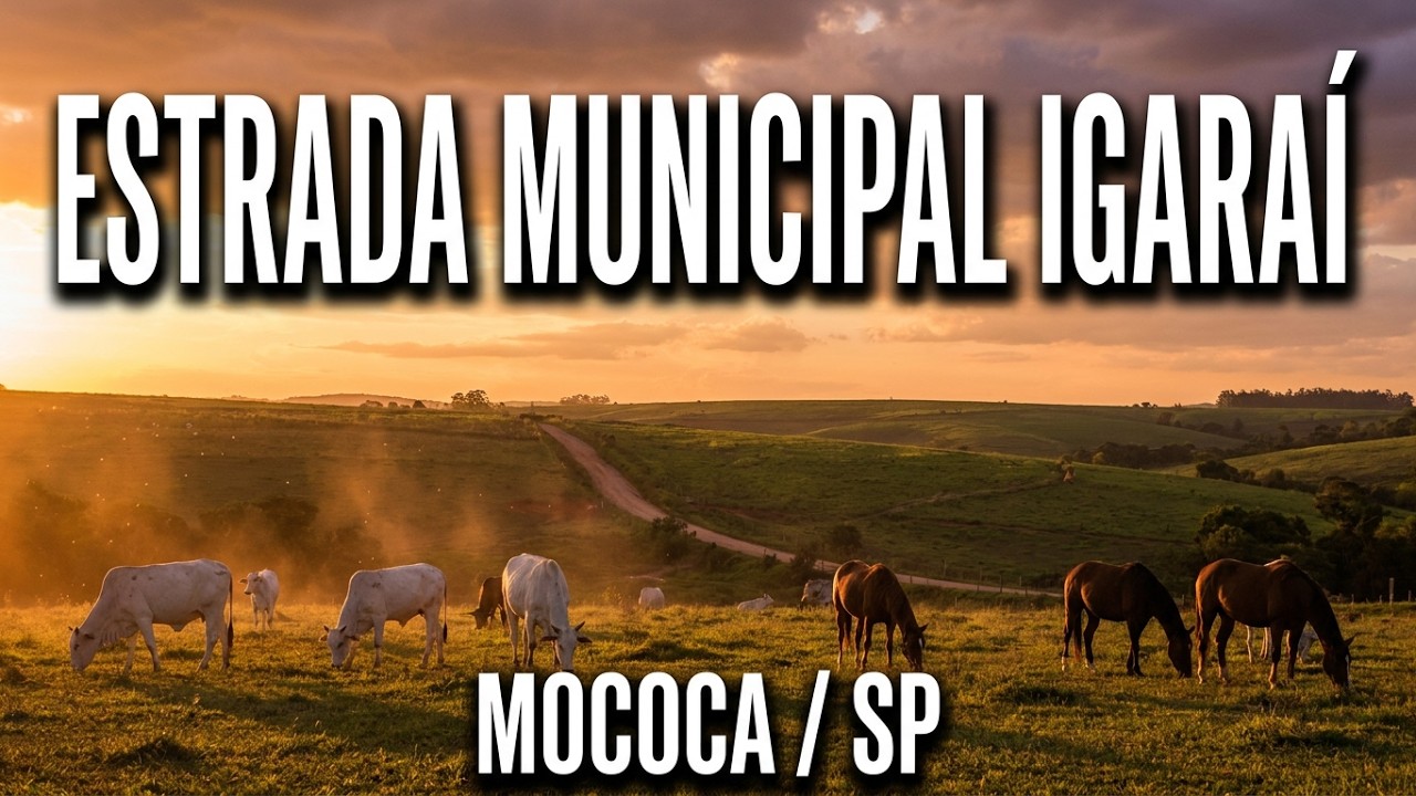 Na estrada - Estrada Municipal Igaraí - Mococa/Igaraí- SP |  Boiadeiro  - Sérgio Reis.