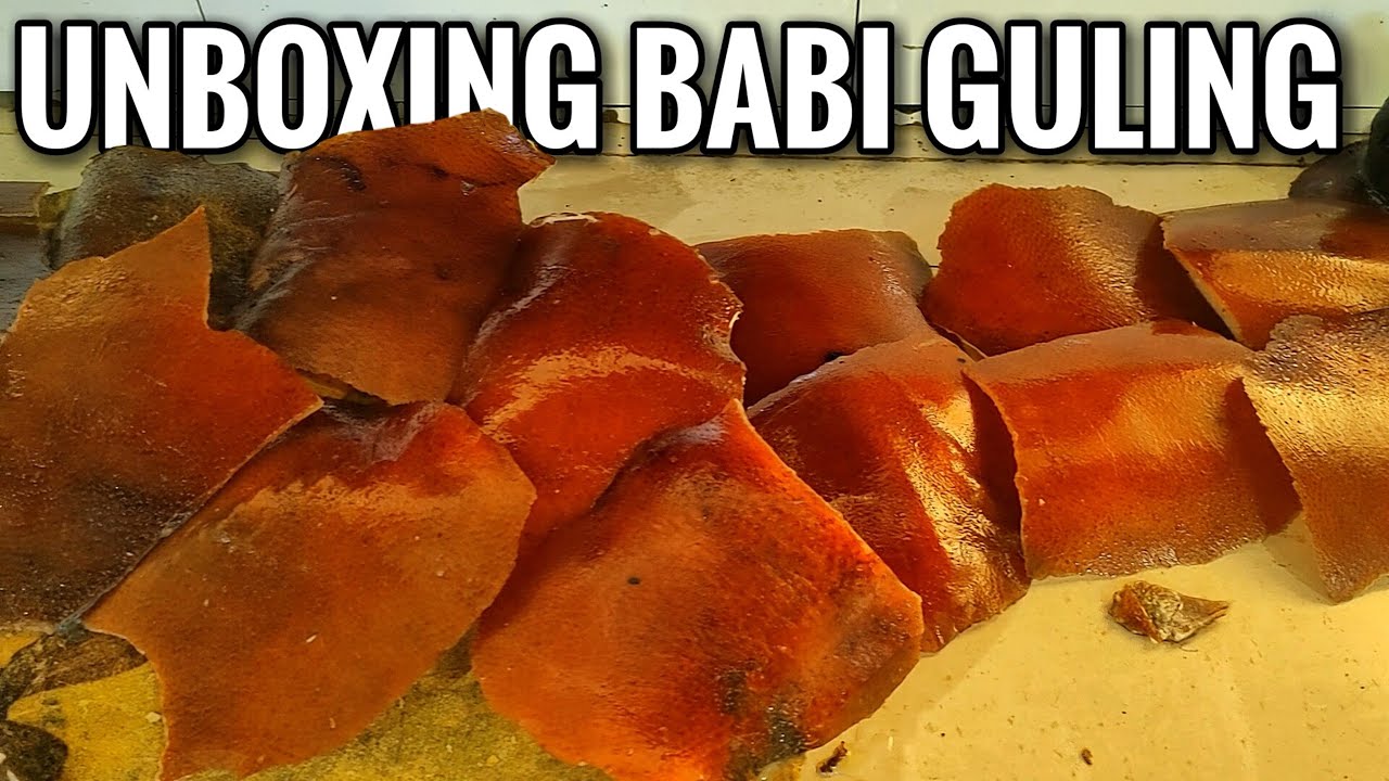 Unboxing Babi Guling - Begini Cara Bikin Kulit Jumbo