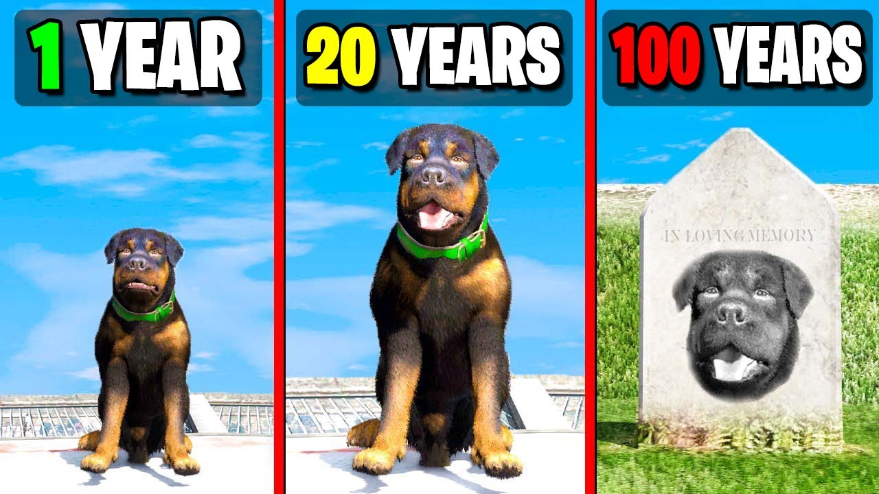 Я ПРОЖИЛ 100 ЛЕТ за ЧОПА в GTA 5!