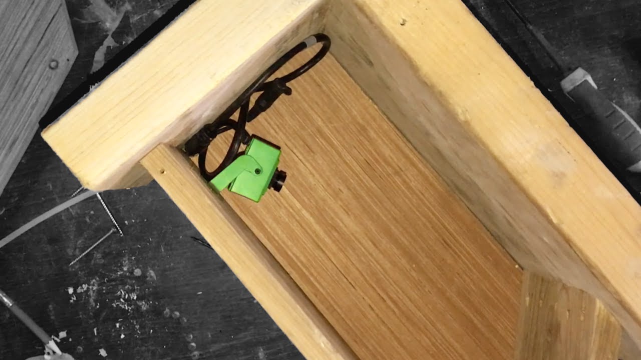 Green Feathers Bird Box Nest Camera Install For Side View Box
