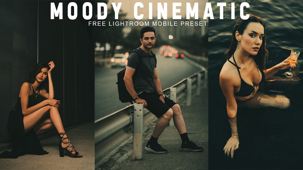 Moody Cinematic Presets | Lightroom Mobile preset | FREE DNG | Moody Film |  Blue Dusk Presets