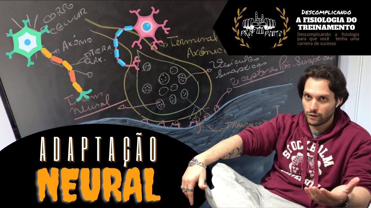 Adaptação Neural... entenda de maneira PRÁTICA e SIMPLIFICADA!