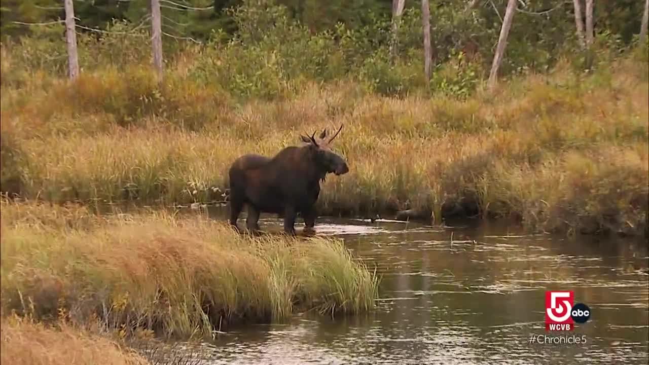 Greenville, Maine, has the distinct feel of a frontier outpost