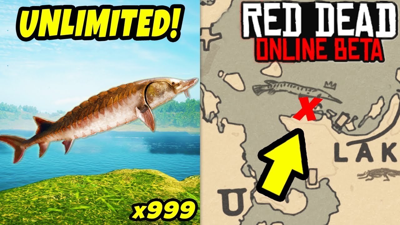 *NEW* SECRET LOCATION TO MAKE FAST MONEY in Red Dead Online! Fish Glitch & Easy Money Tips in RDR2!