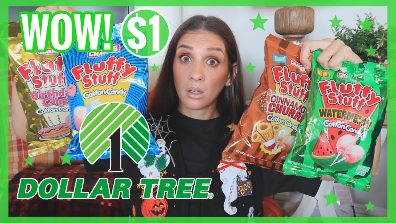 DOLLAR TREE HAUL *$1.00 BRAND NEW FINDS* THE BLOOPERS ARE BAD AGAIN