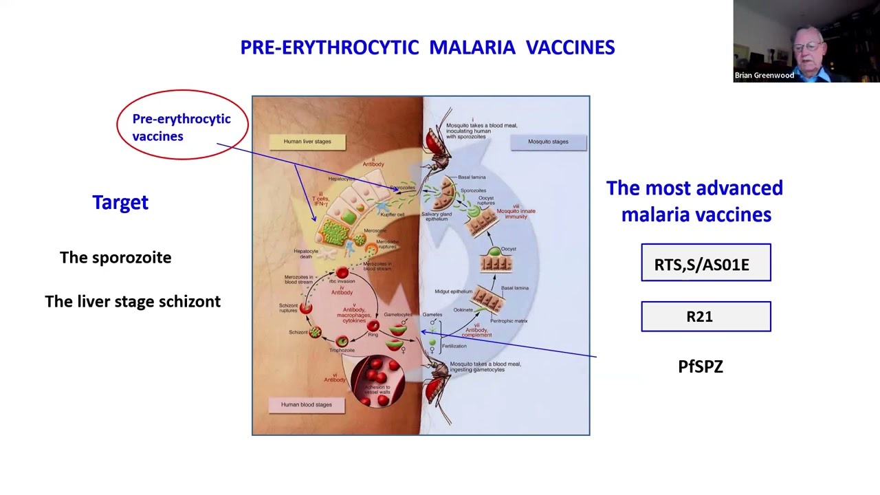 Professor Sir Brian Greenwood: Implementation of malaria vaccines: Challenges and opportunities