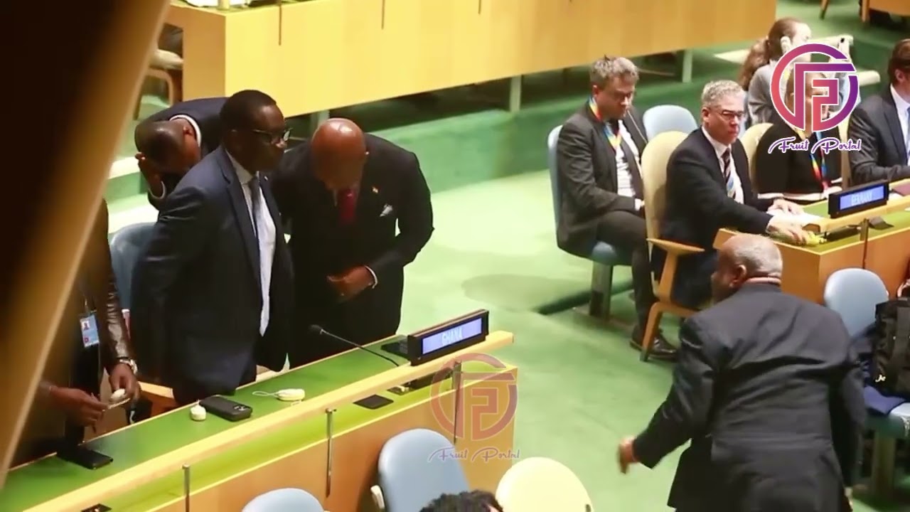 Ghana&rsquo;s Resolution Adopted at UN