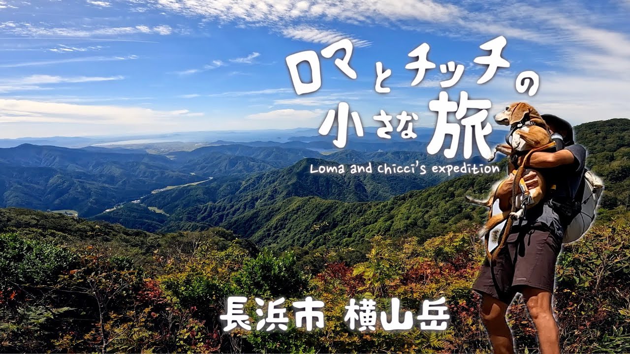【横山岳】激登り！琵琶湖を愛でる秋の縦走路をビーグル犬と歩く旅