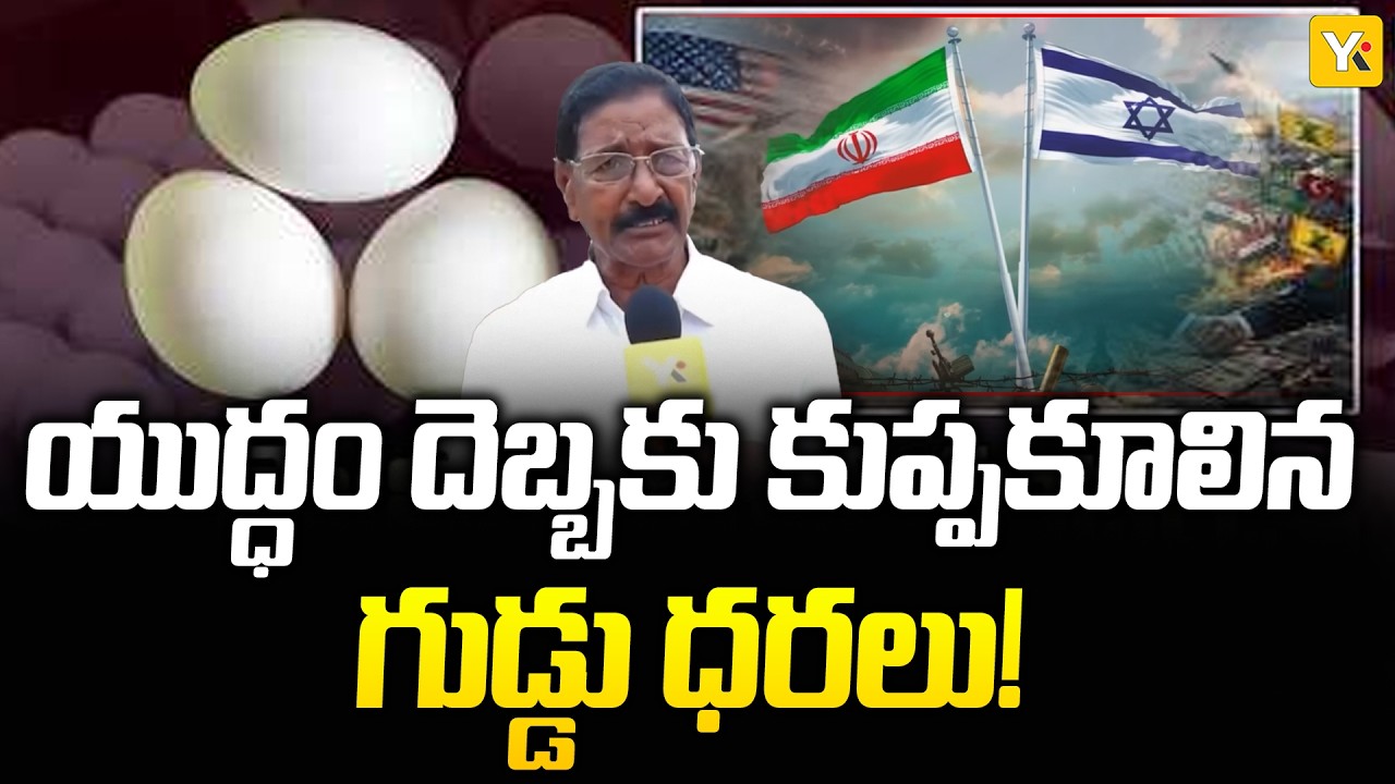 Poultry Industry | ఇరాన్-ఇజ్రాయెల్ యుద్ధం.. తెలుగు రాష్ట్రాల్లో కుప్పకూలిన కోడిగుడ్డు ధరలు | YK TV