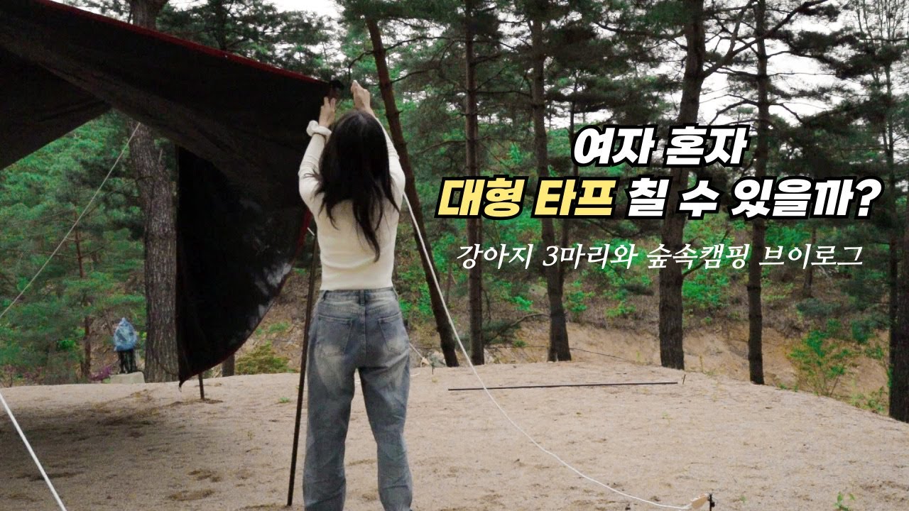여자 혼자 대형 타프 칠 수 있을까? 애견동반 캠핑 | 캠핑 브이로그 | 조용한 숲속에서 전세캠 | 솔로캠핑 | 금산 한마음심천캠핑랜드